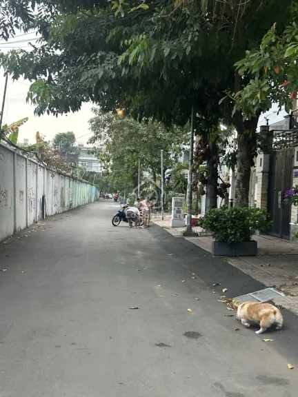 Nhà Bình Lợi, Bình Thạnh – giá quanh 15.5 tỷ, tiện làm văn phòng - ảnh 1