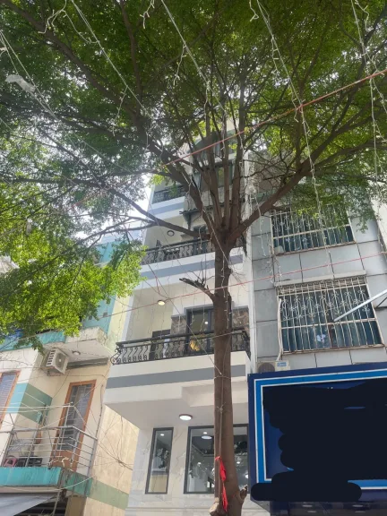 Nhà Cách Mạng Tháng Tám, Quận 3 – giá quanh 13.5 tỷ, hẻm to 10m hiếm có - ảnh 1